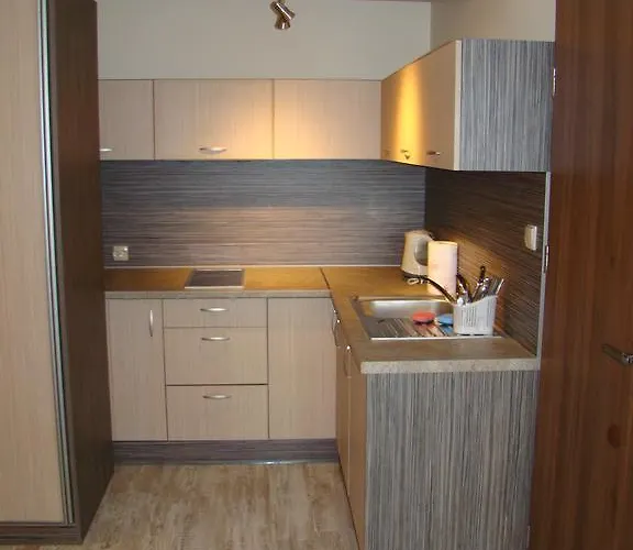 Piaski ホームステイ *